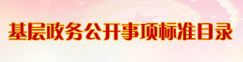 基层政务公开事项标准目录